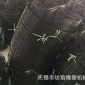 微孔纳米增氧曝气管800mm高低盘 曝气盘
